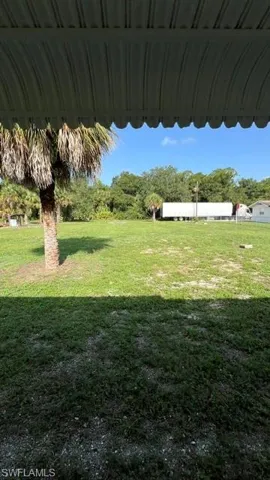 Spacious outdoor area featuring a prominent palm tree, expansive lawn, and surrounding natural foliage under a clear sky