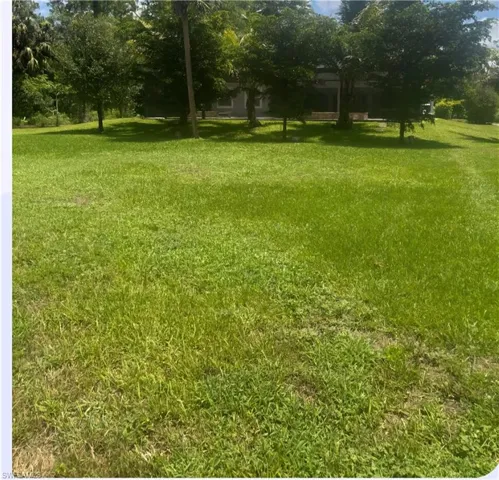 View of grassy yard