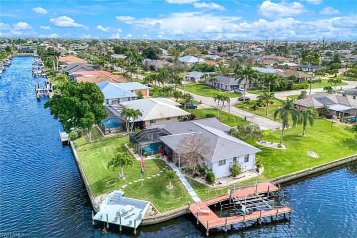 Oversized Hammerhead Lot