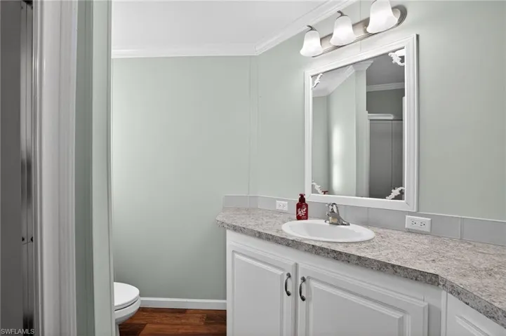 Primary Bathroom featuring vanity, crown molding, and dark wood-type flooring