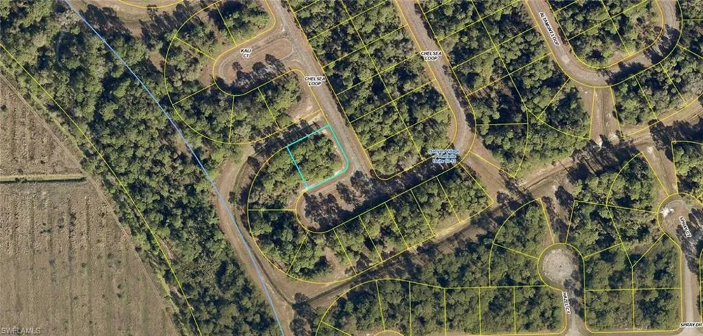 433  Chelsea  LOOP, Labelle, FL 33935