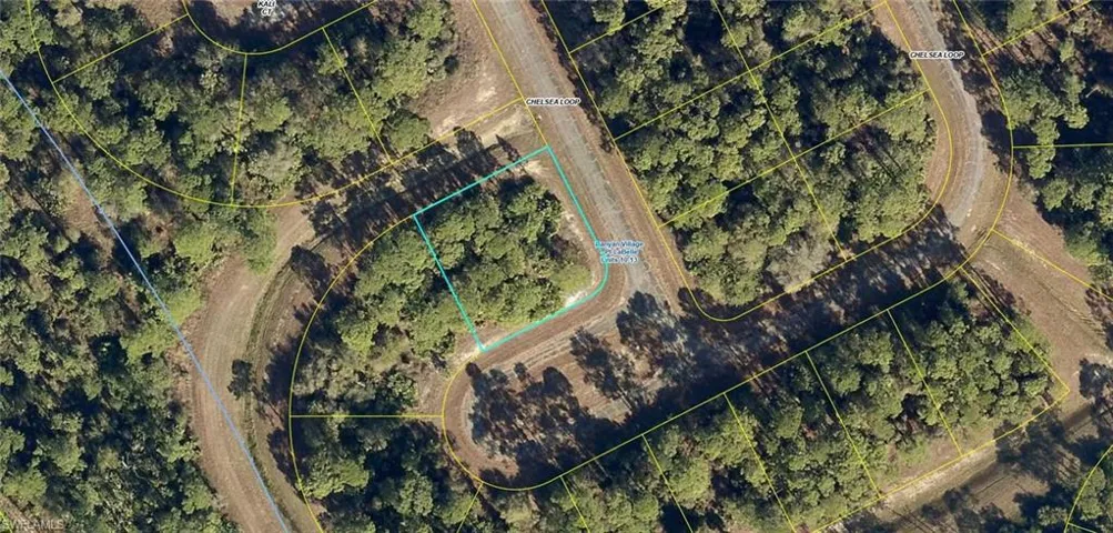 433  Chelsea  LOOP, Labelle, FL 33935