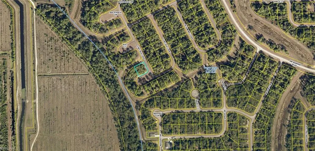 433  Chelsea  LOOP, Labelle, FL 33935