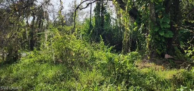 View of woods