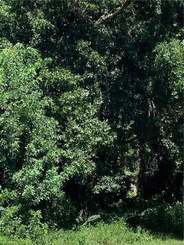View of undeveloped land