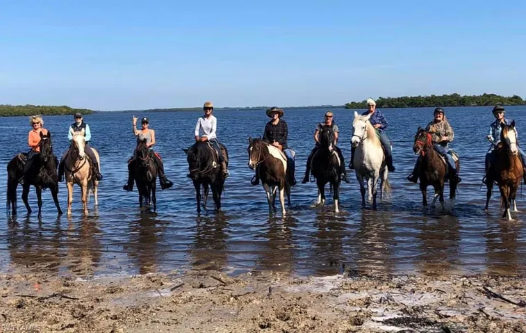 Trail ride and swim your horse here