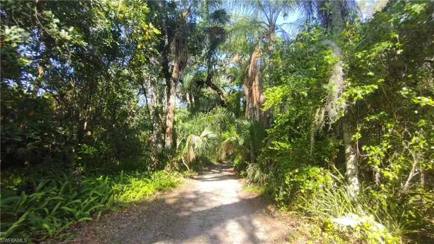 1469  Coffee Mill Hammock  RD, Moore Haven, FL 33471