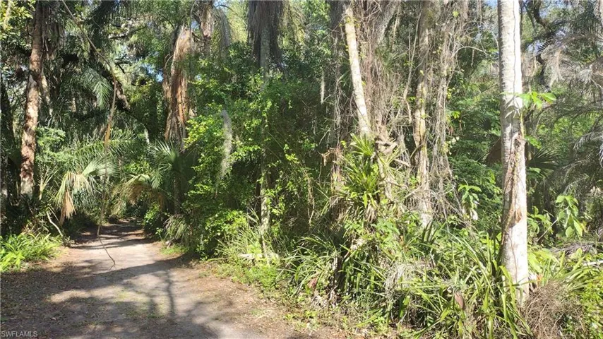 1469  Coffee Mill Hammock  RD, Moore Haven, FL 33471