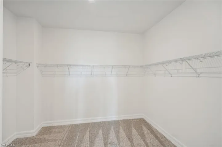 Walk in closet with carpet