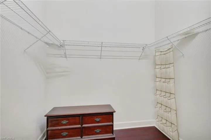 Spacious closet featuring dark wood-type flooring
