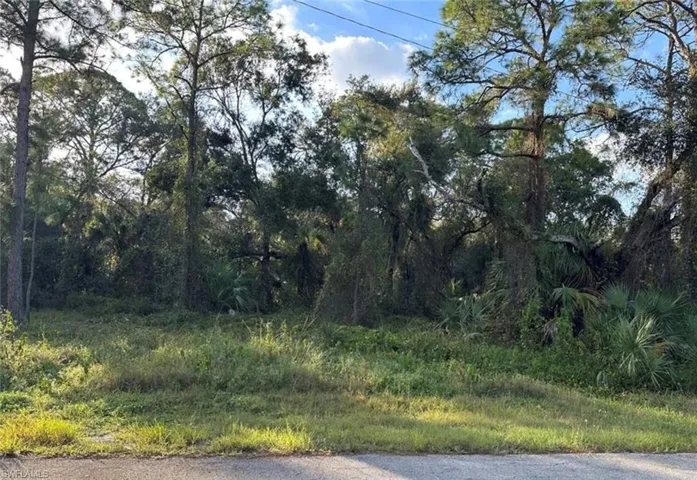 1711 Greenwood Ave, Lehigh Acres, Florida 33972
