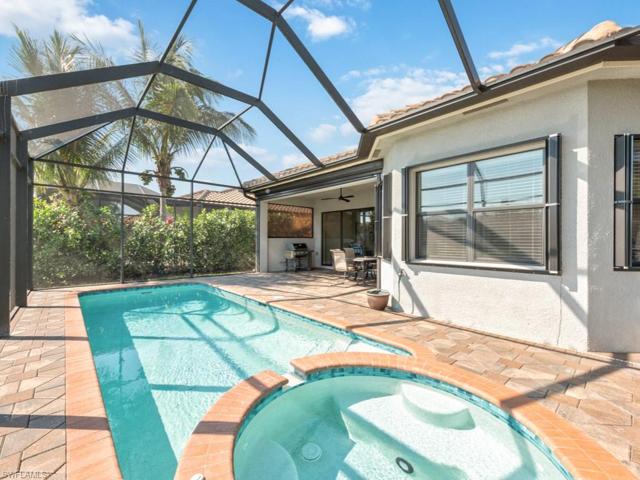 Spa/Pool/Deck Area