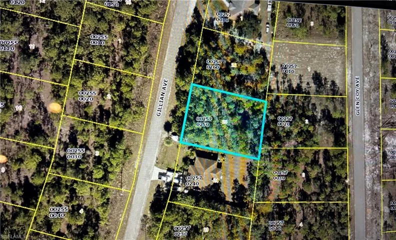 823 Gillian Ave, Lehigh Acres, Florida 33974