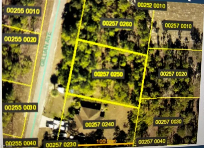 823 Gillian Ave, Lehigh Acres, Florida 33974