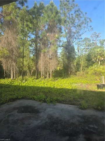 View from dining to back yard