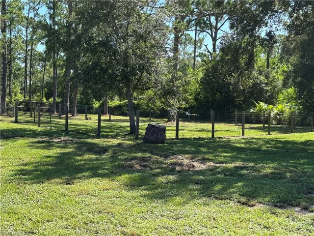 Area to the side/back of house has a separate fenced area.