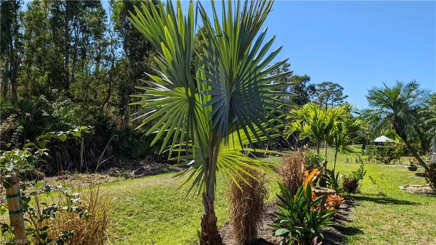 23238 Marsh Landing Blvd, Estero, Florida 33928