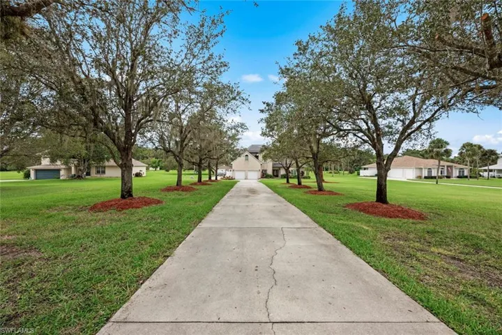Treelined driveway