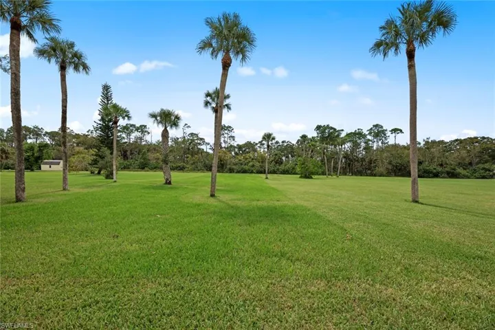 Large 1 acre lot behind home