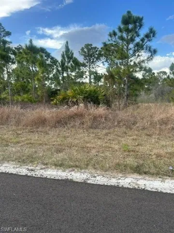 1115 Bayliss St E, Lehigh Acres, Florida 33974