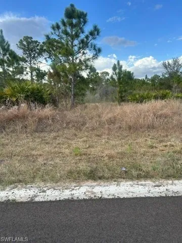 1115 Bayliss St E, Lehigh Acres, Florida 33974
