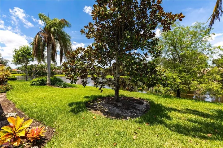View of back yard