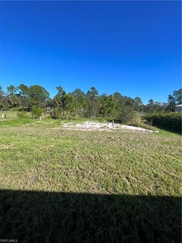 Your backyard is an oasis.