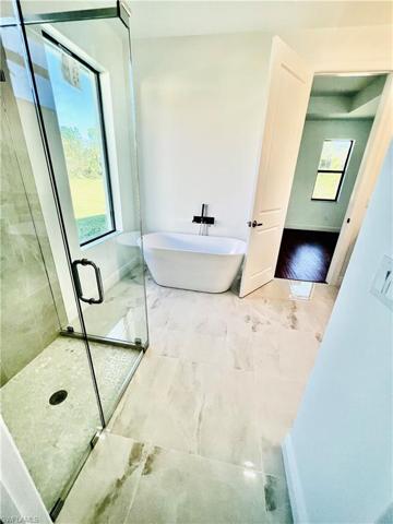 Separated Tub and shower.