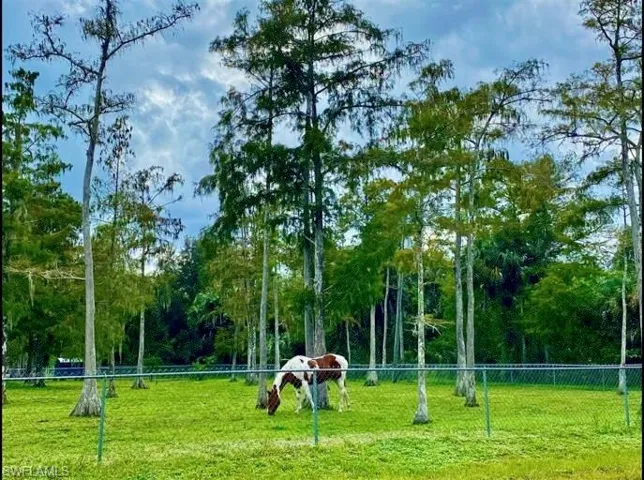 Horses allowed
