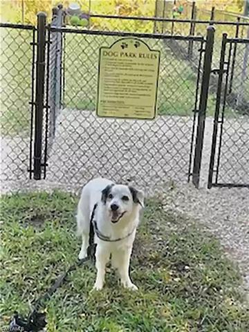 Odin says canines WELCOME