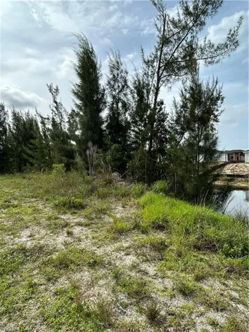 View of undeveloped land