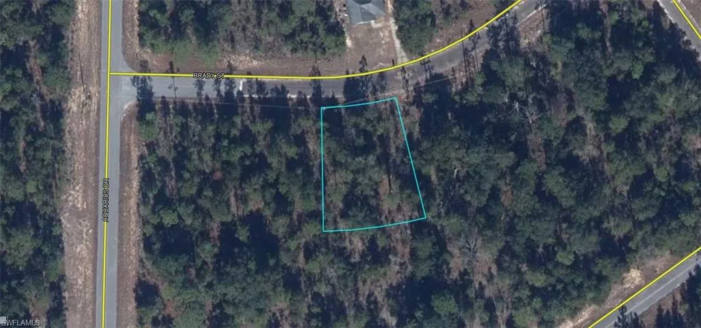 Aerial Lot Map. Illustrating the property's boundaries and surrounding features