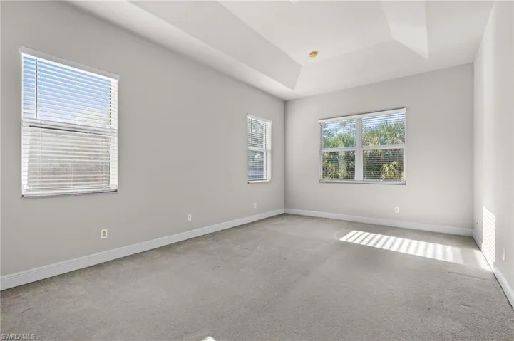 Carpeted spare room featuring plenty of natural light and a tray ceiling
