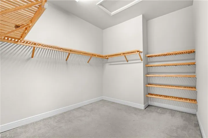 Spacious closet with light carpet