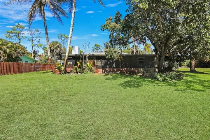 Mature mango tree at the back of the house