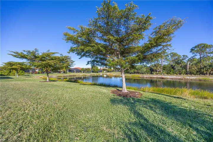 Water view