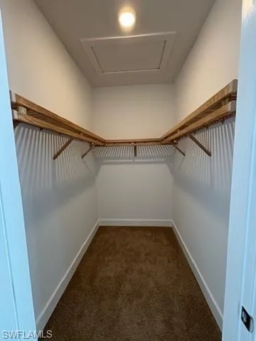 Spacious closet with carpet flooring