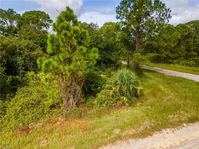 View of wooded area