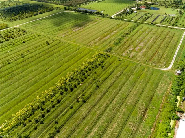 Drone / aerial view featuring a rural view