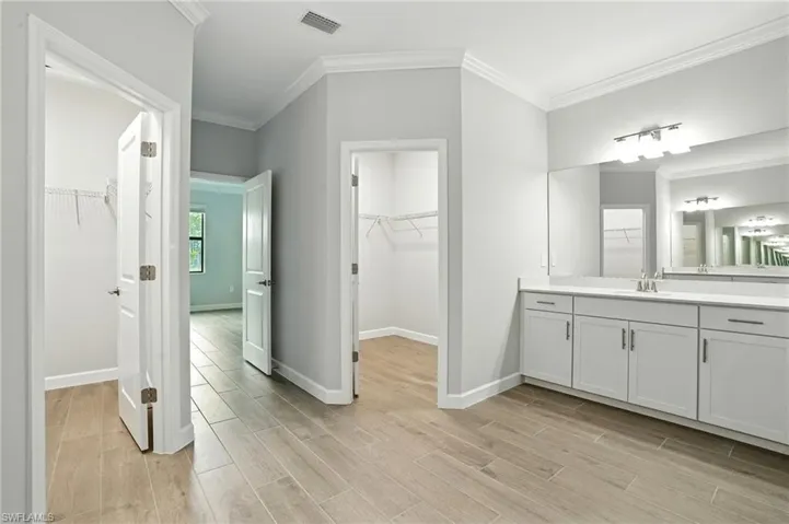 Bathroom featuring a walk in closet, ornamental molding, vanity, and light wood-type flooring