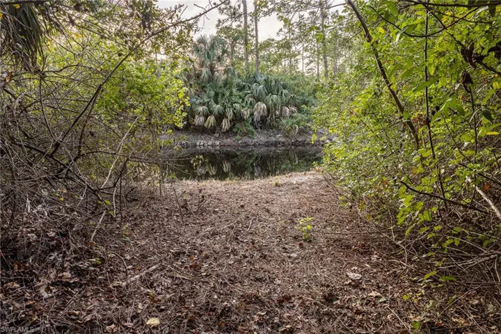Path to Canal
