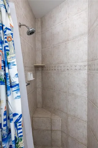 Guest Bath Shower