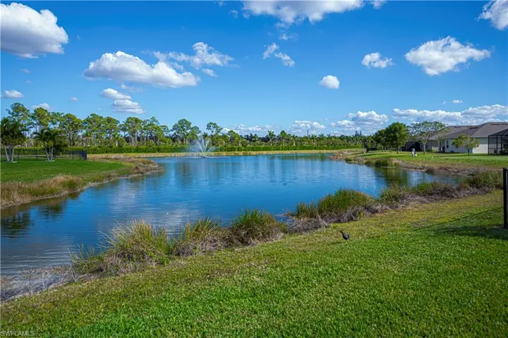 Longer view of the pond behind your patio area.