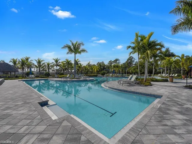 Lap pool section of the pool.