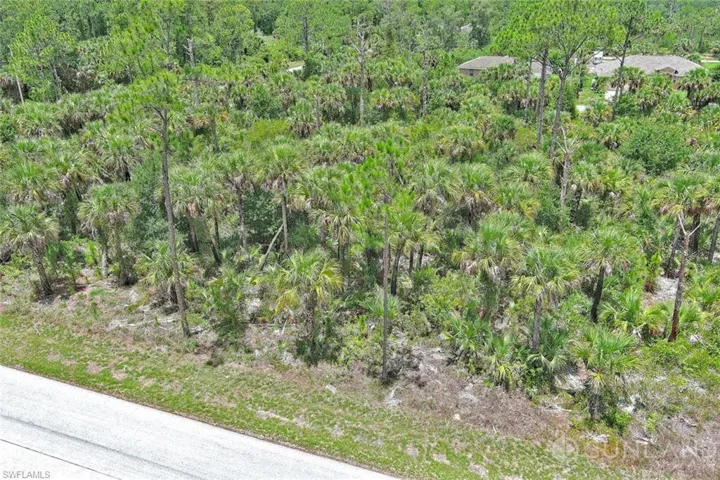 View of local wilderness