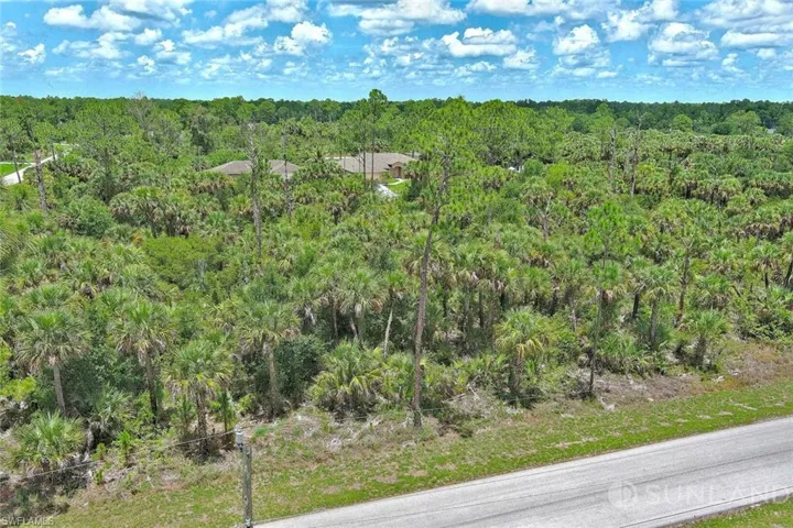 Aerial view of a forest