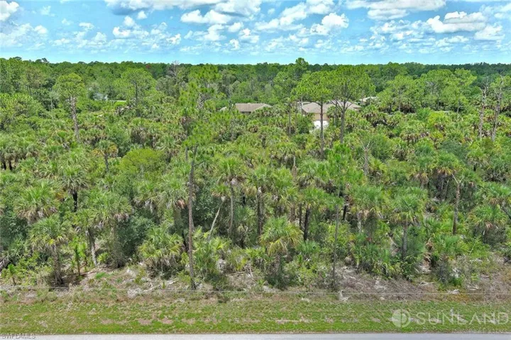 View of tree filled area