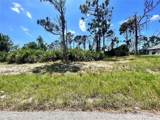 View of undeveloped land