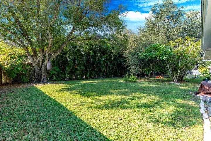 View of grassy yard