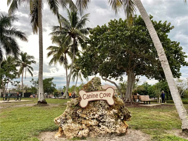 Dog Park